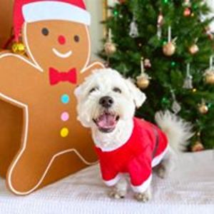 emergency_access101 avatar