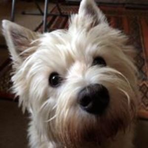 bernie_duncan avatar