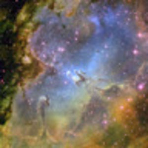 carolinebatty avatar