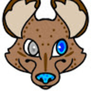 tawnyrosethemainecoon avatar