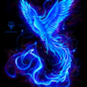 felixvelazquez avatar