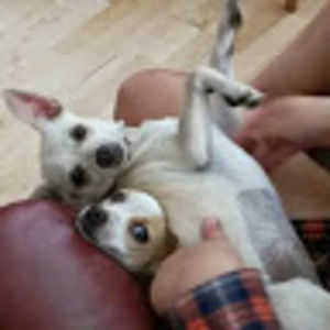 veronicadelorey avatar