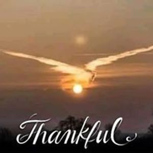 goofyonline1955 avatar