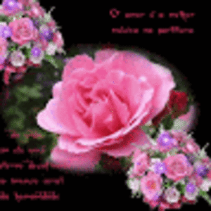 devorasdevora avatar