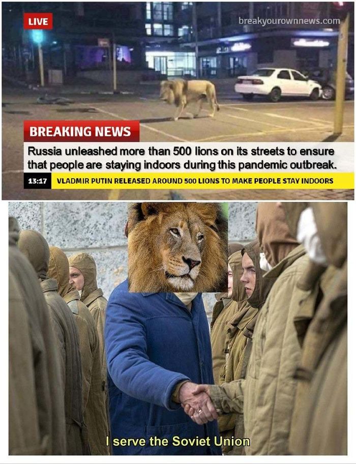 Coronavirus-Quarantine-Jokes