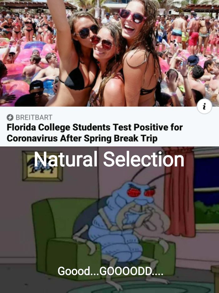 Darwin Looking Down On These People...