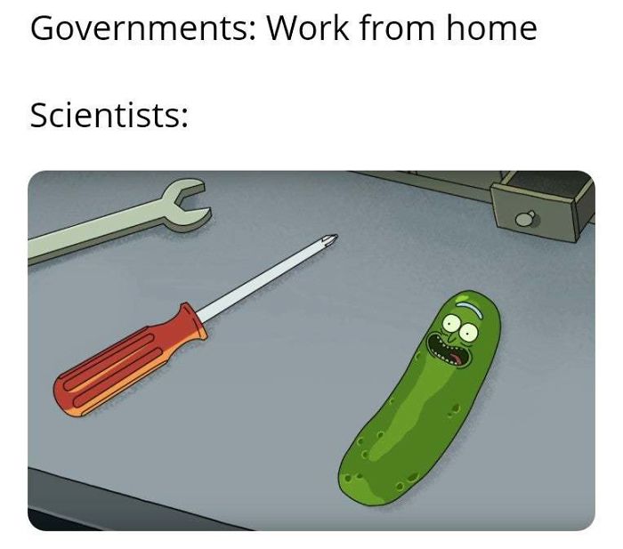 Funniest Crap Ever Seen From A Dude Working From Home