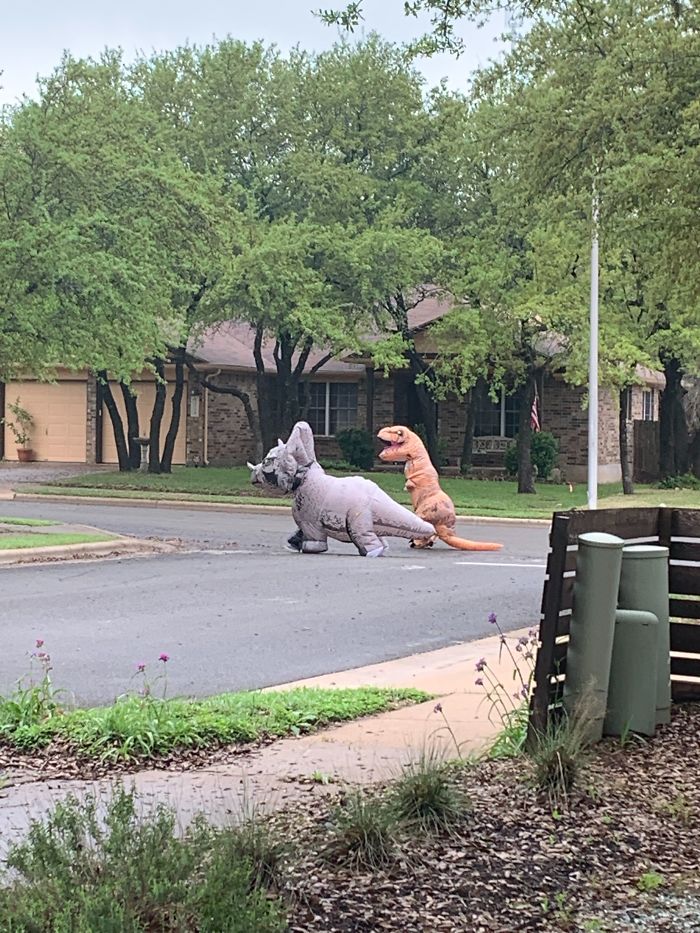 Quarantine Day 10... Dinosaurs Have Reclaimed The Land.