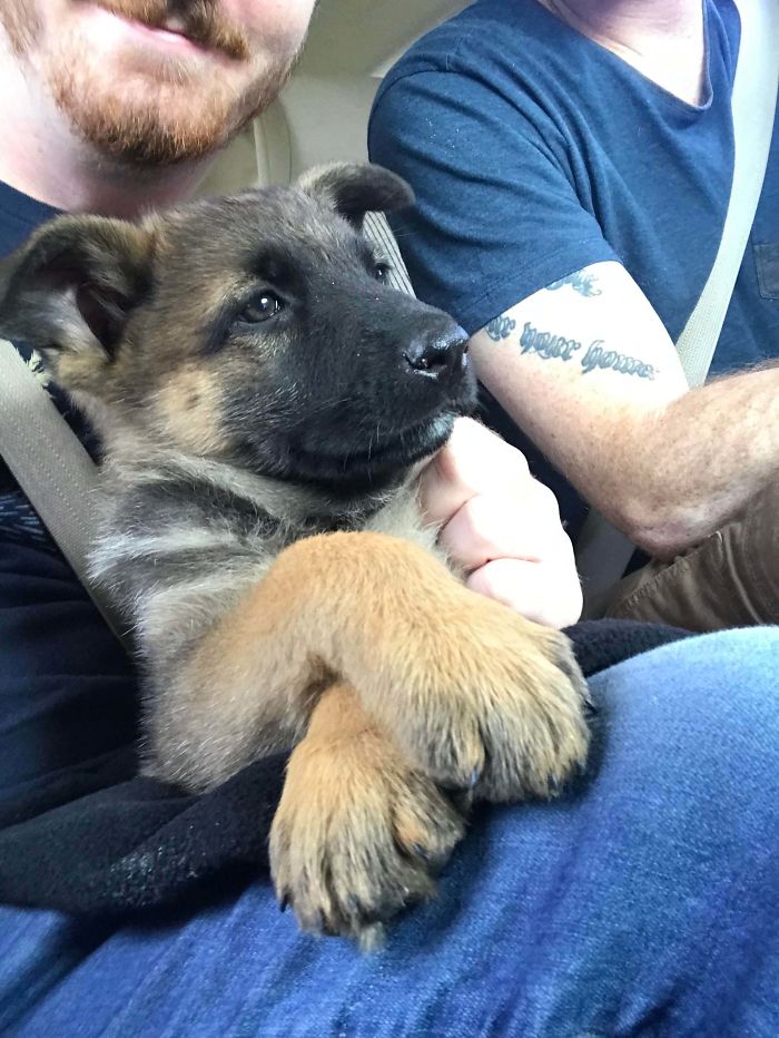Just Adopted, First Car Ride Home Of Many