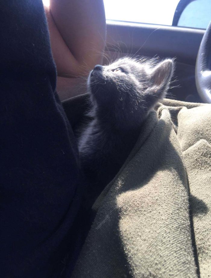 Archie Mirin’ My Husband The Day He Rescued Him