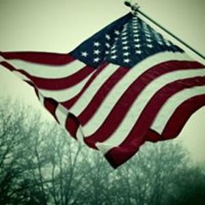 the1_pink_flamingo avatar