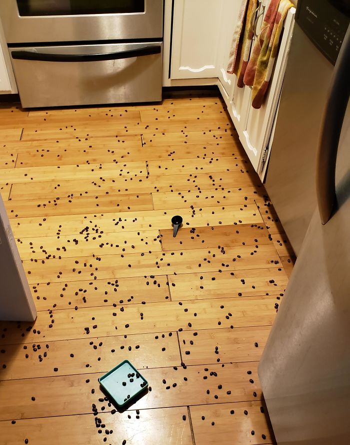 Nothing Like Some Fresh Ground Coffee To Wake You Up In The Morning