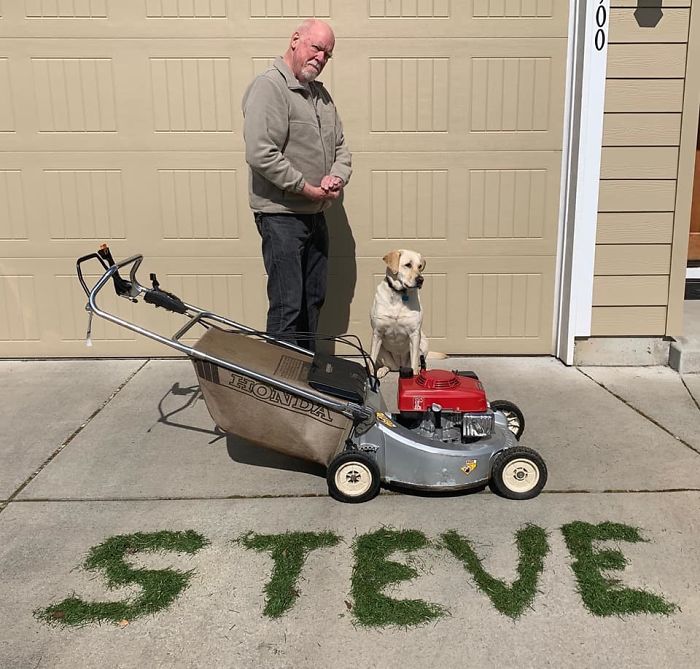 Asked My Dad How Quarantine Was Going, His Response