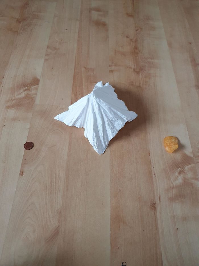 Day 5 Of Quarantine, Made Some New Friends