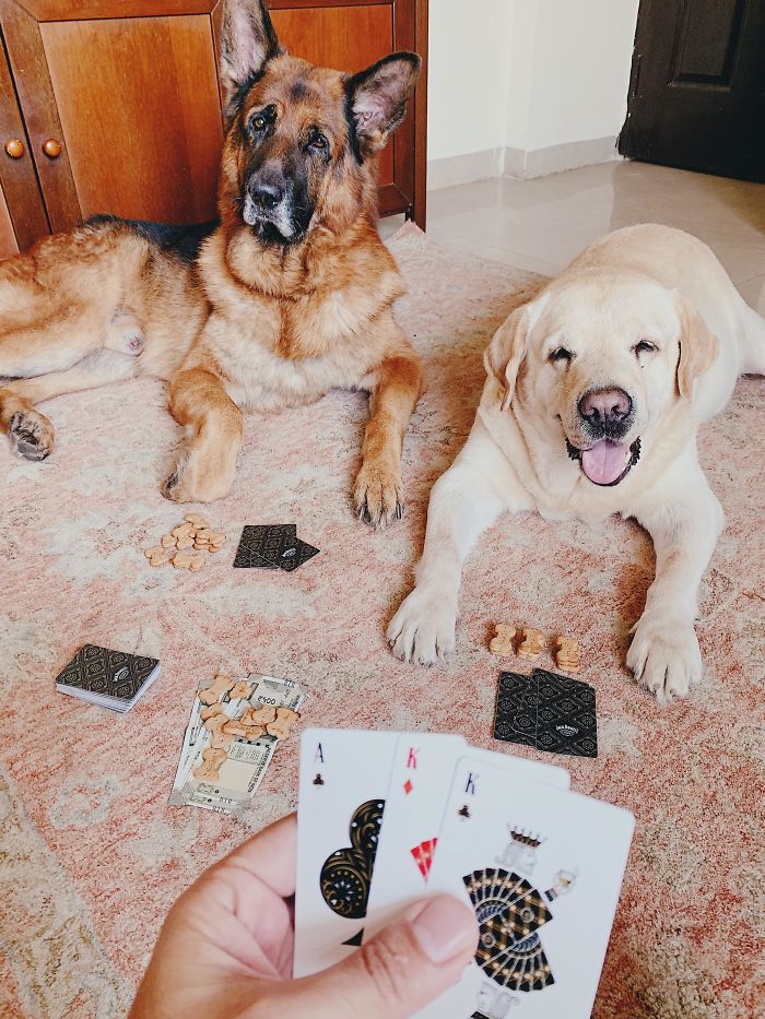 We Are Only On Day 3 Of Social Distancing