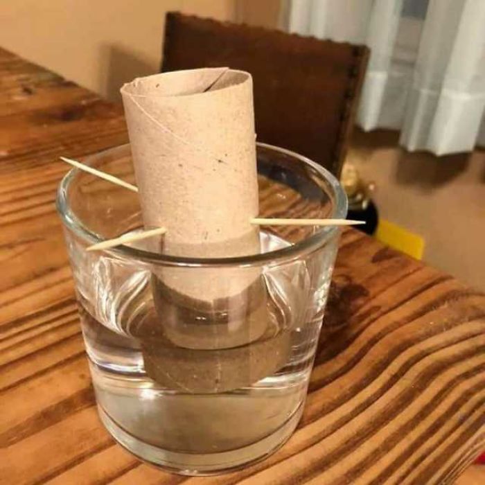 Anyone Know How Long This Will Take To Grow?