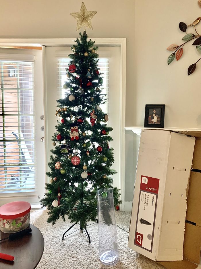 Quarantine Day 7. Finally Taking Down Our Christmas Tree