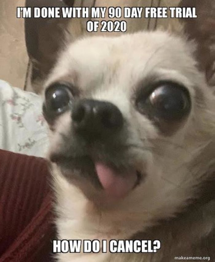 How Most Of Us Feel Right About Now