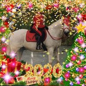 angela_leadbetter avatar