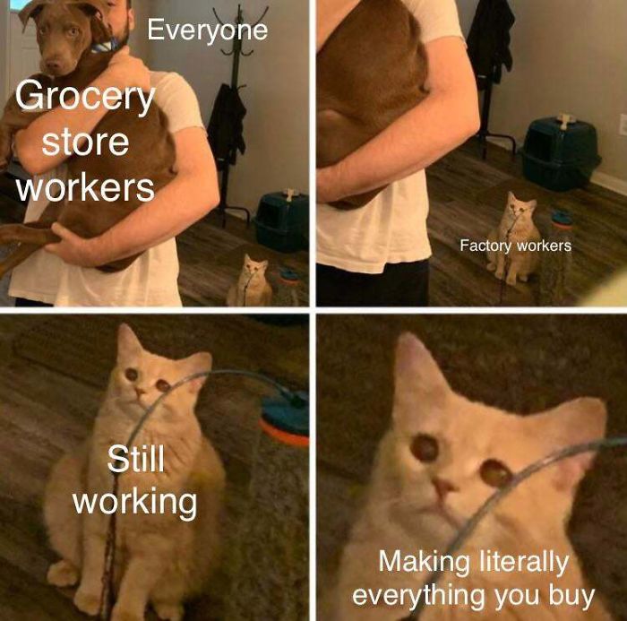 Unsung Heroes Of The Coronapocalypse