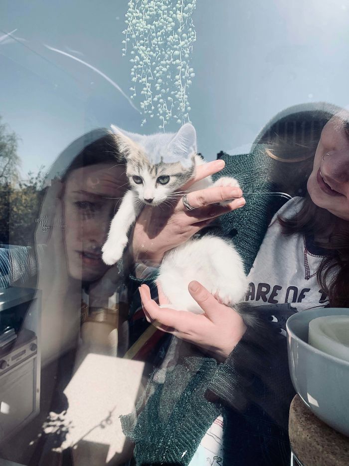 My Friends Showing Me And My Housemate Their New Kitten Via Social Distancing Window