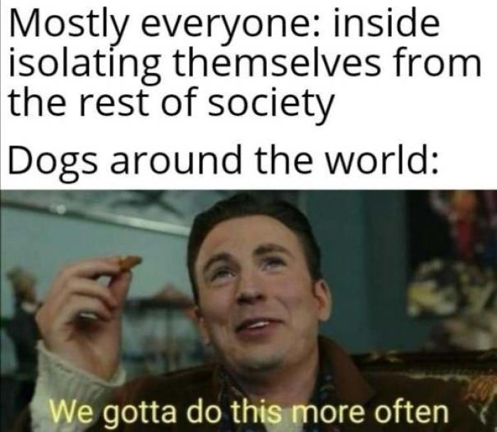 What Would We Do Without Them?