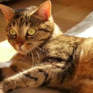 annatjie-muehlberg avatar