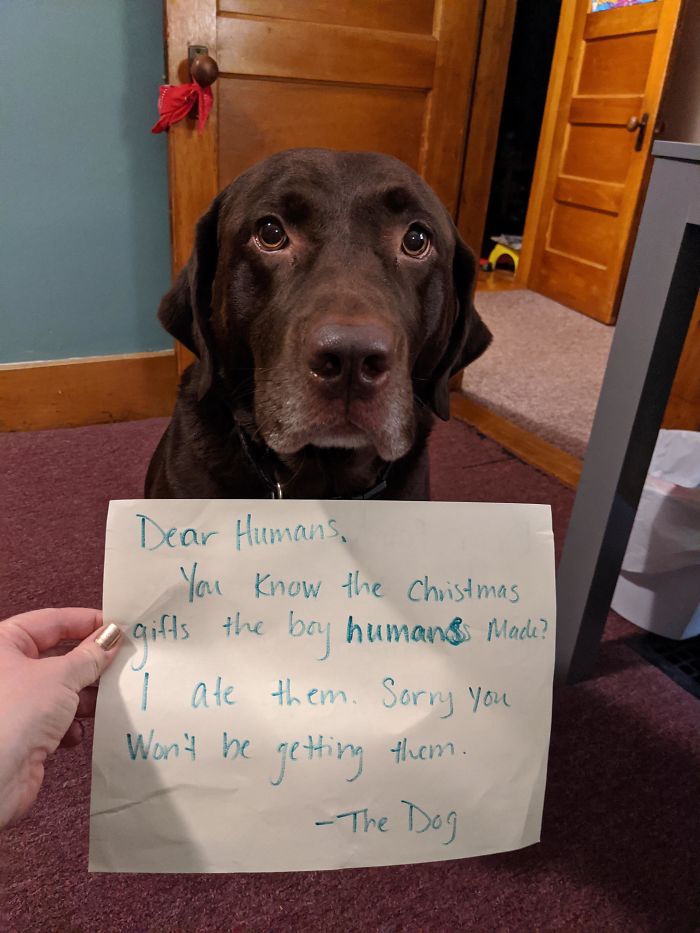 I Am So Mad About This