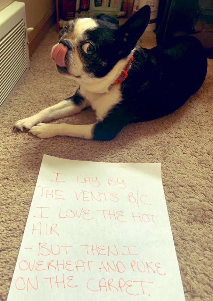 Yet She’s Still My Best Friend