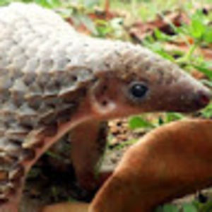 kallistawijnandsstudent avatar