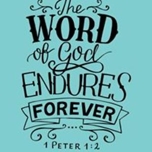 blackjenny495 avatar