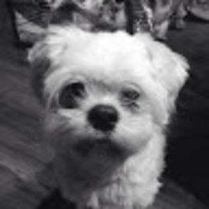 jordynmccormick avatar