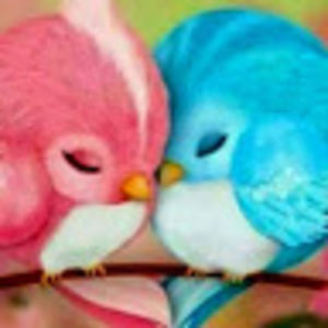 marlenest_amand avatar