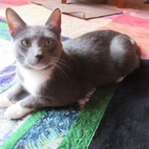 marrs_cynthia avatar