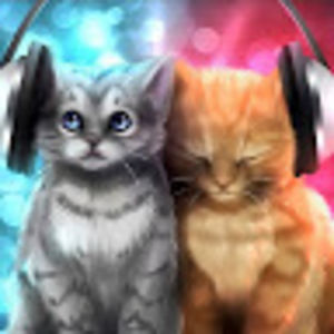 syedainayagilani avatar