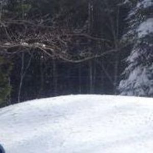 agillespi3789 avatar