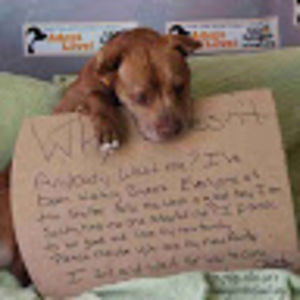 timothyweiandt avatar