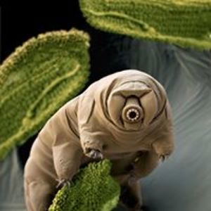 littlewoman482006 avatar