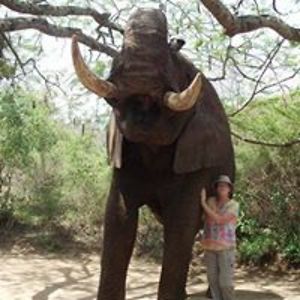 heather_somers avatar