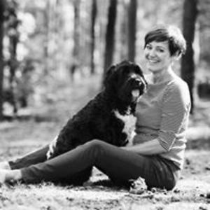 petravanrompay avatar