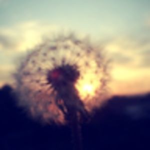 roisincunningham avatar