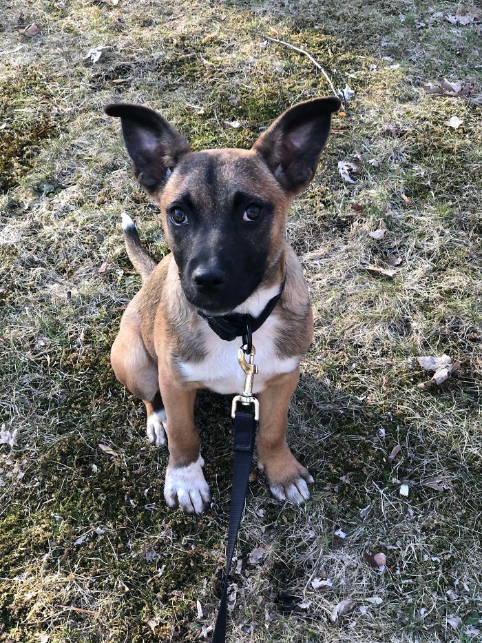 Adopted This Sweet Baby Girl Today