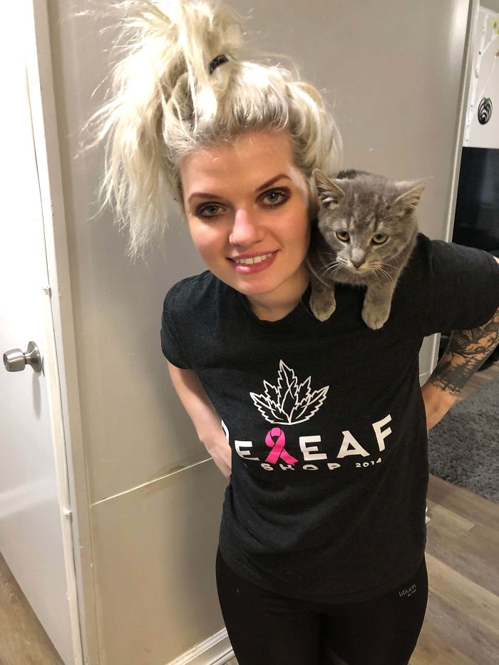 My Girlfriend And I Recently Adopted A 4-Month Shoulder Kitty. Meet, Milo!