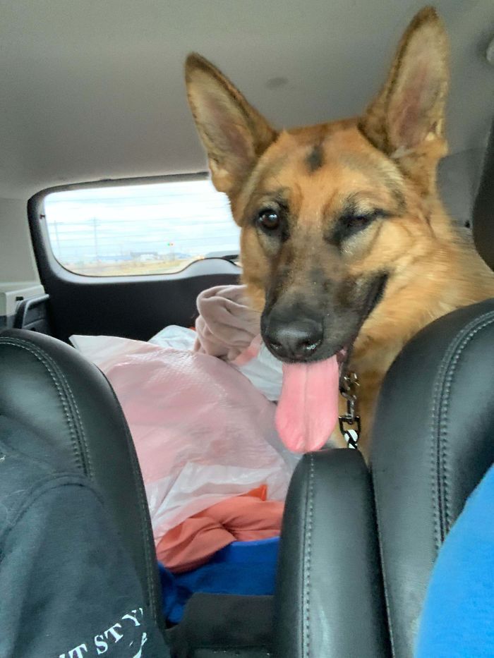 The Wife And I Just Adopted This Beautiful Girl