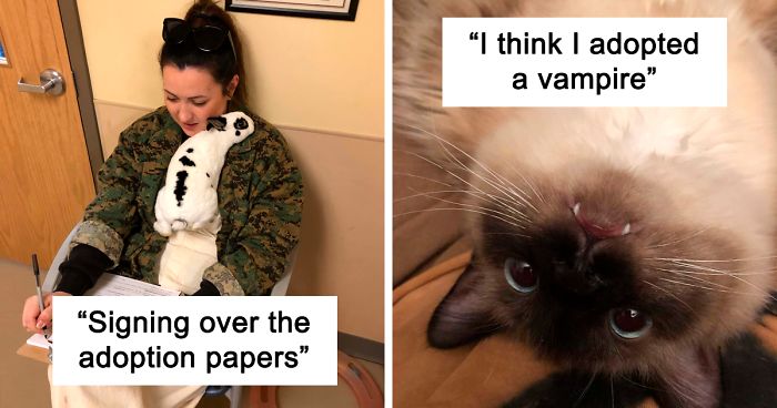 40 Most Wholesome Rescue Pet Photos Of This Month (March Edition)