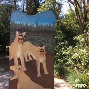 c_l_bairdbrains avatar