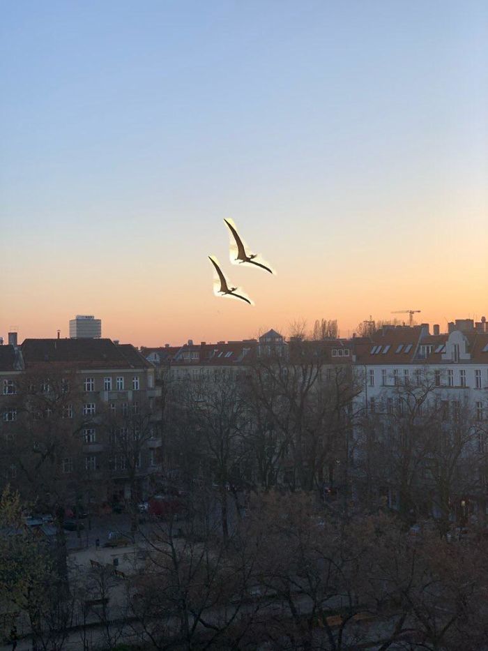 Nature-Healing-Quarantine-Jokes