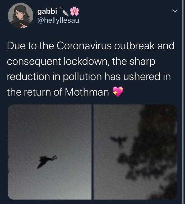 Nature-Healing-Quarantine-Jokes