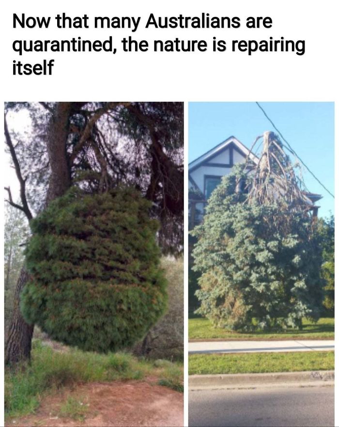 Nature-Healing-Quarantine-Jokes