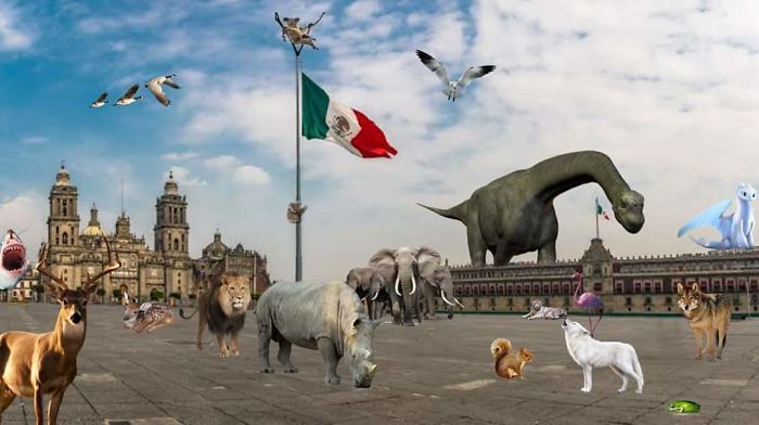 Nature-Healing-Quarantine-Jokes